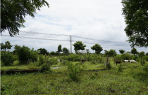 Đồng Nai tổng rà soát 900 dự án được giao đất, cho thuê đất