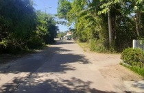 Sốt đất thường xảy ra vào thời điểm nào, ở đâu?