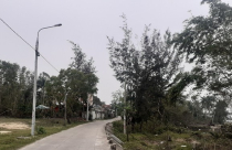 Đề xuất đầu tư khu đô thị sinh thái Ecopark tại Quảng Nam quy mô 2.600 ha