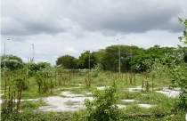 “Xí đất” rồi bỏ hoang, 10 dự án treo ở Đồng Nai bị thu hồi