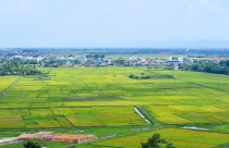 Cách xác định loại đất theo quy định mới thế nào?