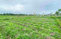 Một vụ đấu giá đất ven Hà Nội tiếp tục thu hút hơn 700 hồ sơ tham gia