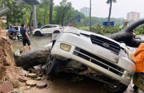 Công ty bảo hiểm đẩy nhanh giám định, bồi thường cho khách hàng bị thiệt hại do bão, lũ