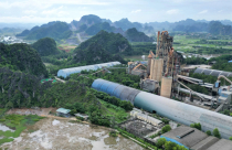 Ninh Bình chuyển hơn 38ha rừng cho doanh nghiệp sản xuất xi măng