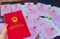 Từ ngày 28/10, nhiều loại đất tại Đồng Nai được cấp sổ đỏ mà không phải nộp tiền sử dụng đất