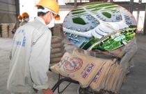 Tiêu thụ xi măng bật tăng nhờ... cao tốc Bắc - Nam, sân bay Long Thành
