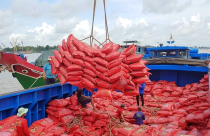 Giá gạo xuất khẩu của Việt Nam cao nhất thế giới