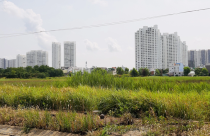 Quy chế làm việc của Tổ công tác tháo gỡ khó khăn về đất đai và dự án có gì đặc biệt?