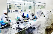 Đề xuất giảm thuế TNCN đối với nhân lực công nghệ cao