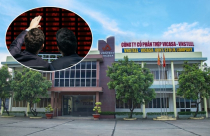 Cổ phiếu tăng trần liên tục bất chấp kinh doanh thua lỗ, doanh nghiệp giải trình “không biết nguyên nhân”