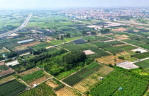 Hưng Yên đấu giá 260 thửa đất trong tháng 3, giá khởi điểm từ 18 triệu đồng/m²