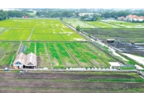 Đối tượng nào được đề xuất giảm 30% tiền thuê đất năm 2025?