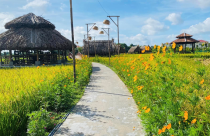 Long An sắp cho xây dựng công trình trên đất nông nghiệp?