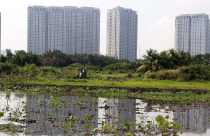 TP.HCM ra thông báo khẩn mời doanh nghiệp đăng ký làm dự án nhà ở thương mại theo cơ chế thí điểm