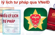 Từ nay đến hết năm 2025, nộp hồ sơ cấp Phiếu lý lịch tư pháp trực tuyến được giảm đến 20% phí