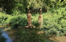 Văn phòng Chính phủ có văn bản hỏa tốc về phương án đầu tư đường kết nối Bình Phước và Đồng Nai