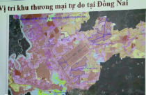 Đồng Nai muốn làm khu thương mại tự do 8.000ha gắn với sân bay Long Thành, cảng Phước An