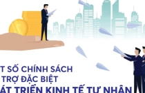 Infographics: Một số chính sách hỗ trợ đặc biệt phát triển kinh tế tư nhân