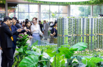 Thị trường bất động sản TP.HCM mới đón cơ hội từ xu hướng giãn dân hậu sáp nhập?