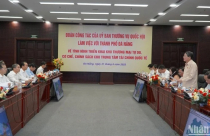 Đà Nẵng đề xuất cơ chế, chính sách liên quan đến xây dựng Trung tâm tài chính và Khu thương mại tự do