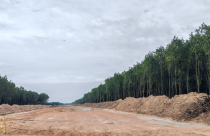 Tiến độ thi công các dự án hạ tầng tại Bình Dương