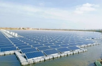 Số phận hai dự án điện mặt trời 7.800 tỷ ở Nghệ An?