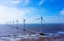 Chính thức phê duyệt khung giá điện gió ngoài khơi năm 2025