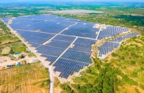 Cổ phiếu BCG của Bamboo Capital bị đưa vào diện cảnh báo do chậm tổ chức đại hội đồng cổ đông