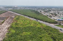 Bất động sản 24h: Sắp đấu giá 34 khu đất tại Đồng Nai