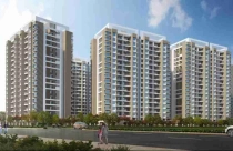 Cổ đông lớn muốn thoái hết vốn tại Công ty Cổ phần Chương Dương