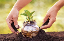 Những trường hợp nào sẽ được giảm 50% tiền sử dụng đất theo quy định mới nhất hiện nay?