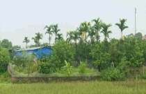 Giảm áp lực cho người dân về tiền sử dụng đất