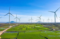 Bắc Ninh xin ý kiến dự án điện gió 55 MW trị giá 2.100 tỷ đồng