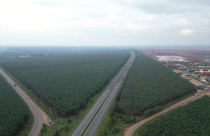 Tiến độ triển khai các dự án đường tỉnh 769, 773 và 770B kết nối sân bay Long Thành