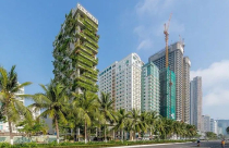 Công ty CP CHIC-LAND bị xử phạt gần 570 triệu đồng