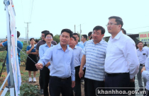 Khảo sát thực tế tình hình thực hiện các dự án quy mô lớn tại tỉnh Khánh Hòa
