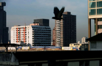 Đường sắt mở đường cho loạt dự án bất động sản cao cấp ven Bangkok