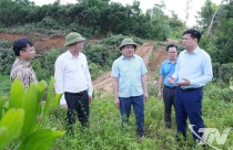 Đẩy nhanh tiến độ thu ngân sách từ đất đai