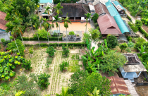 Phân quyền thực hiện thủ tục chuyển mục đích sử dụng đất