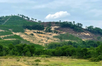 Thanh Hóa chuyển đổi 5 ha rừng để làm mỏ đất san lấp