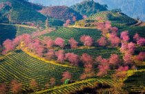 Lào Cai phê duyệt dự án khu đô thị sinh thái hơn 2.400 tỷ đồng