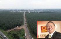 Hoa Sen vừa làm được điều chưa từng có trong nhiều năm trở lại đây