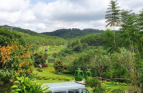 Công ty Cổ phần Đầu tư và Du lịch Sài Gòn – Lâm Đồng xin gia hạn thanh toán lãi trái phiếu hơn 1.600 tỷ đồng