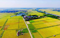 Quy định mới về miễn, giảm tiền sử dụng đất từ 6/11