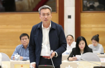 Kê biên 2 tài sản trị giá hơn 300 tỷ đồng của Hoàng Hường