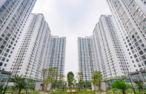 Hướng dẫn xác nhận thu nhập cho lao động tự do khi mua nhà ở xã hội