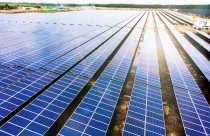 Bamboo Capital dự kiến họp cổ đông bất thường cuối tháng 12