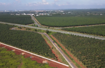 Đồng Nai mở rộng tuyến đường dài 39km kết nối với sân bay