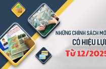 Nhiều chính sách nổi bật có hiệu lực từ tháng 12/2025