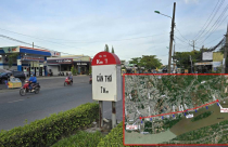 Đang triển khai công tác bồi thường, tái định cư dự án nâng cấp, mở rộng Quốc lộ 91 ở Cần Thơ